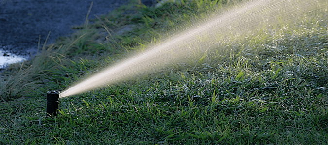lawn sprinkler head spraying water