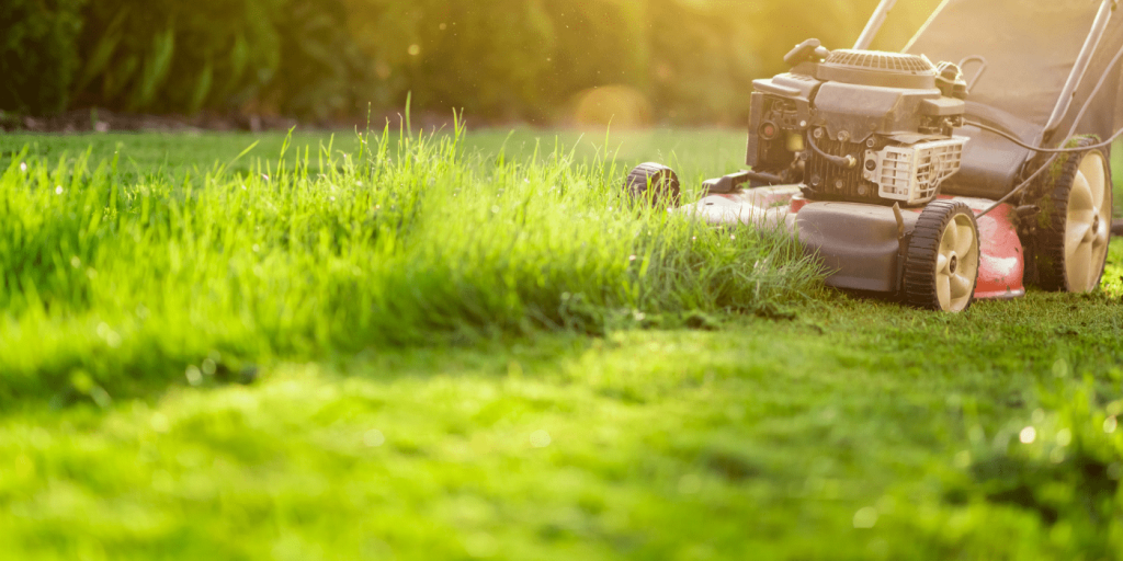 Lawn Maintenance | Houston | ABC Home & Commercial