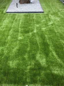 a yard of artificial turf